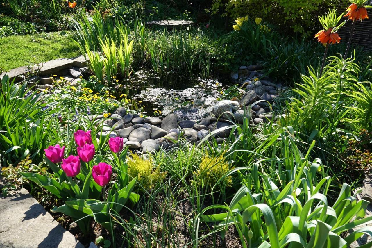 לינה וארוחת בוקר Esneux Le Jardin Des Miroirs מראה חיצוני תמונה